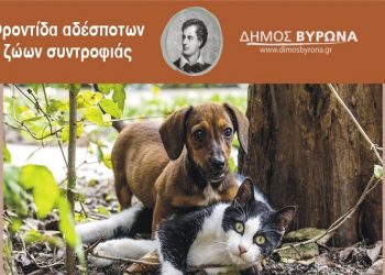 Υπηρεσία διαχείρισης νεκρών ζώων στον Βύρωνα