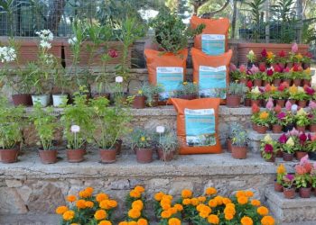 Βάρη: Συνεχίζεται η διανομή εδαφοβελτιωτικού «Vita Green»