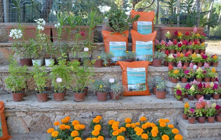 Βάρη: Συνεχίζεται η διανομή εδαφοβελτιωτικού «Vita Green»