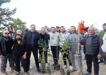 Με 500 δέντρα εμπλουτίστηκε ο Λόφος Πανί από εθελοντές