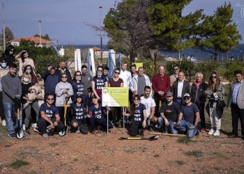 Επιτυχημένη η δράση δενδροφύτευσης στη δασική περιοχή της Αμπελούπολης
