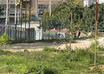 Νέες δενδροφυτεύσεις στο Δασικό Πάρκο Εργάνης