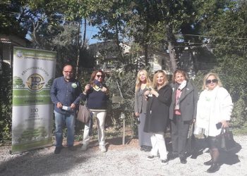 Σοροπτιμιστικός Όμιλος & ΔΕΠΙΣ Κηφισιάς: «Φυτεύουμε δένδρα για ένα λαμπρό μέλλον»