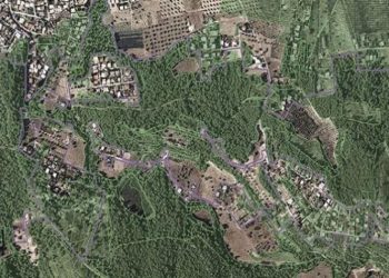 Δασικοί χάρτες: Αρχίζει η διαδικασία υποβολής αντιρρήσεων