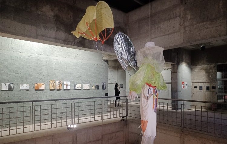 «Συλλογικό γουργουρητό»: Το παράλληλο πρόγραμμα εκδηλώσεων