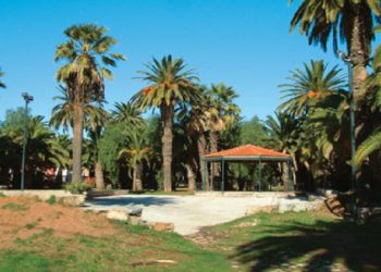 Υπογράφηκε η σύμβαση για την ανάπλαση του Φοινικοδάσους Λαυρίου