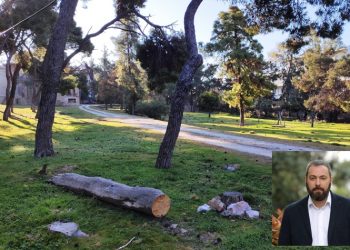 Προσφυγή Κεσκινίδη κατά της αγοράς του Κτήματος Φιξ