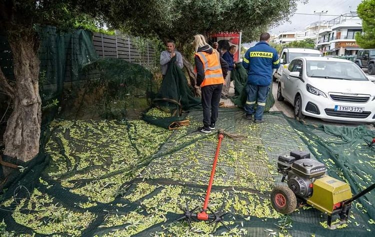 Ξεκίνησε το λιομάζωμα στη Γλυφάδα