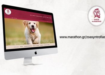 Δημιουργία εξειδικευμένης πλατφόρμας για τα ζώα συντροφιάς από τον Δήμο Μαραθώνος