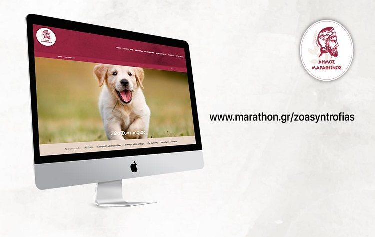 Δημιουργία εξειδικευμένης πλατφόρμας για τα ζώα συντροφιάς από τον Δήμο Μαραθώνος