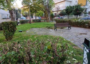 Θ. Αμπατζόγλου: «Προτεραιότητες καθαριότητα, δημόσια υγεία και ποιότητα ζωής»