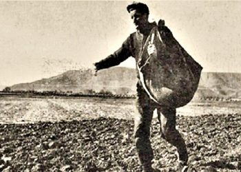 Το ταξίδι του Νοέμβρη…