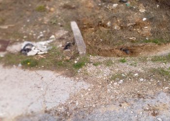 Μαρία Πυλαρινού: «Ο καθαρισμός και η λειτουργία του αντιπλημμυρικού έργου επείγει»