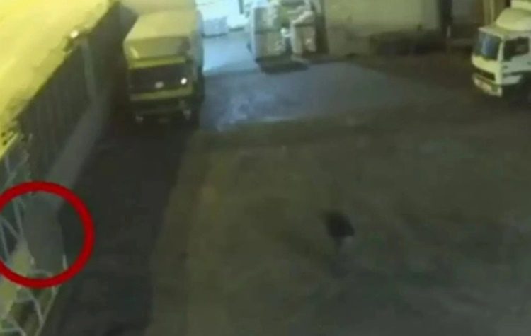 Μια κοινωνία σκοταδόψυχων…