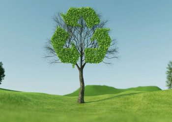 Ξεχωριστό ρεύμα ανακύκλωσης τηγανέλαιου δημιουργεί ο Δήμος Χαλανδρίου