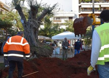 Ελιά 500 ετών στην πλατεία Νέας Σμύρνης