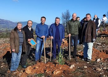 Αναδάσωση 1000 στρεμμάτων στον Δήμο Ωρωπού μέσα από ιδιωτική χορηγία