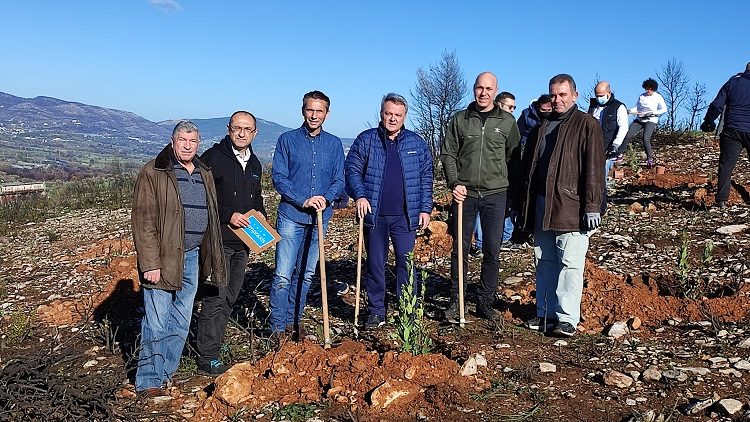 Αναδάσωση 1000 στρεμμάτων στον Δήμο Ωρωπού μέσα από ιδιωτική χορηγία