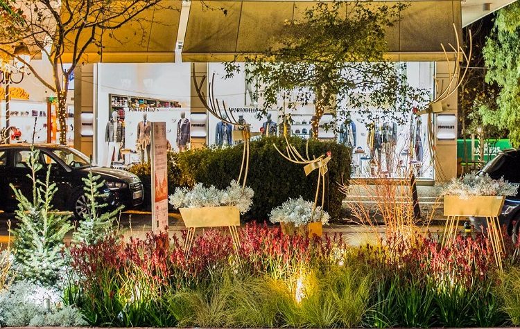 «Ανθοκομική Έκθεση Κηφισιάς»: Με εορταστική διάθεση στο κέντρο της πόλης