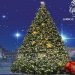 Την Κυριακή 12/12 και όχι το Σάββατο 11/12 η φωταγώγηση του χριστουγεννιάτικου δέντρου στην Κηφισιά
