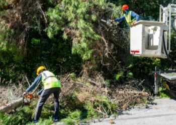 Συνεργεία του ΔΕΔΔΗΕ κόβουν κλαδιά δέντρων που ακουμπούν σε καλώδια μέσης τάσης