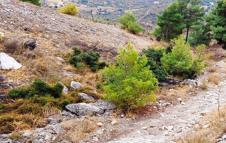 Πεζοπορική διαδρομή διοργανώνει ο Περιβαλλοντικός Σύλλογος Πεντέλης