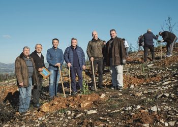 Η Παπαστράτος φυτεύει 70.000 δέντρα