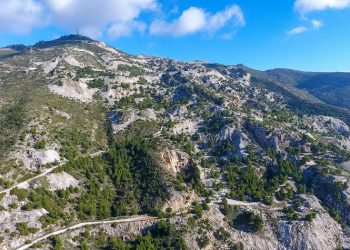 Βλάσσης Σιώμος: «Όραμά μας ένα καταπράσινο και φιλόξενο Πεντελικό»