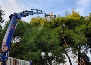 Ολοκληρώθηκε ο ψεκασμός για τον έλεγχο  του πληθυσμού της κάμπιας του πεύκου