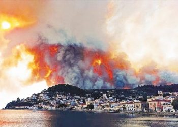 Πυρκαγιές: Η θερινή τραγωδία