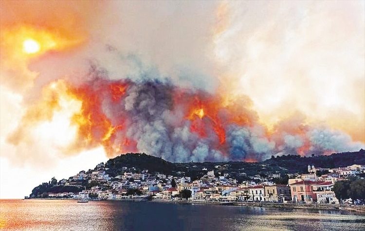 Πυρκαγιές: Η θερινή τραγωδία
