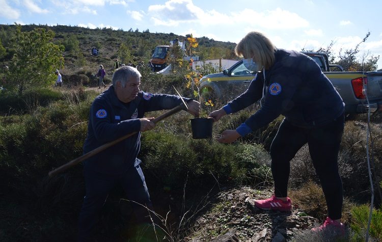 «Πρασίνισε» ο Κοκκιναράς