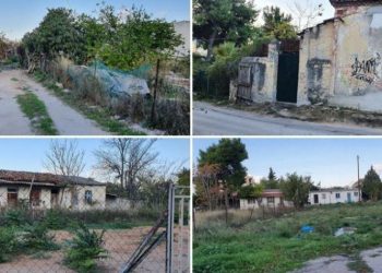 Σ. Ρούσσος:  «Ως εδώ - Ας πάρουν όλοι τις ευθύνες τους για το “Πεύκο Πολίτη”»