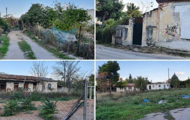 Σ. Ρούσσος: «Ως εδώ - Ας πάρουν όλοι τις ευθύνες τους για το “Πεύκο Πολίτη”»