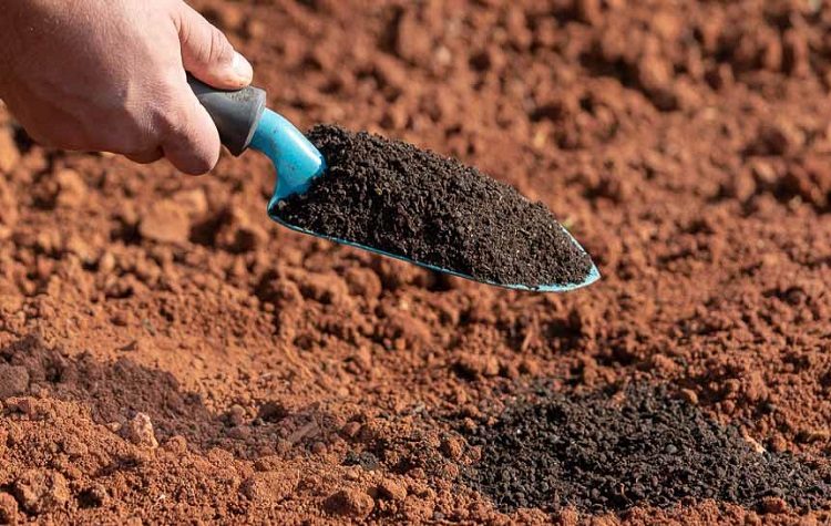 Δράση σποροφύτευσης - δενδροφύτευσης από ΣΠΑΠ και Δήμο Κηφισιάς στον Κοκκιναρά