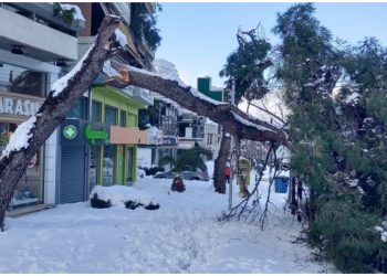 «Nέα Αρχή»: «Αναγκαία η υπογειοποίηση του δικτύου ηλεκτροδότησης της πόλης»