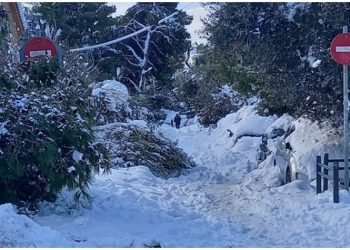 Γ. Σταθόπουλος: «Πόλη παράλυτη με πολύ μεγάλη ευθύνη της δημοτικής Αρχής»