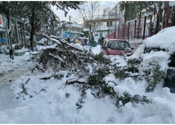 Μάκης Τάρλας σε Βασίλη Ζορμπά: «Να αποζημιωθούν τα καταστήματα που υπέστησαν ζημιές από την κακοκαιρία»