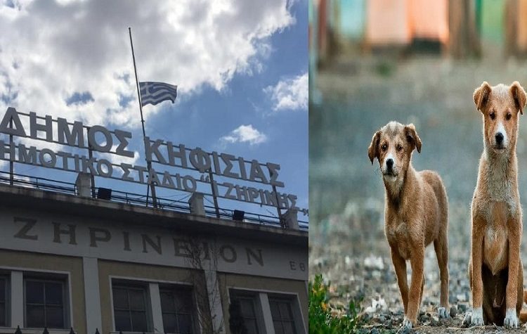 Σε εγρήγορση οι κοινωνικές υπηρεσίες του Δήμου για την κακοκαιρία «Ελπίδα»