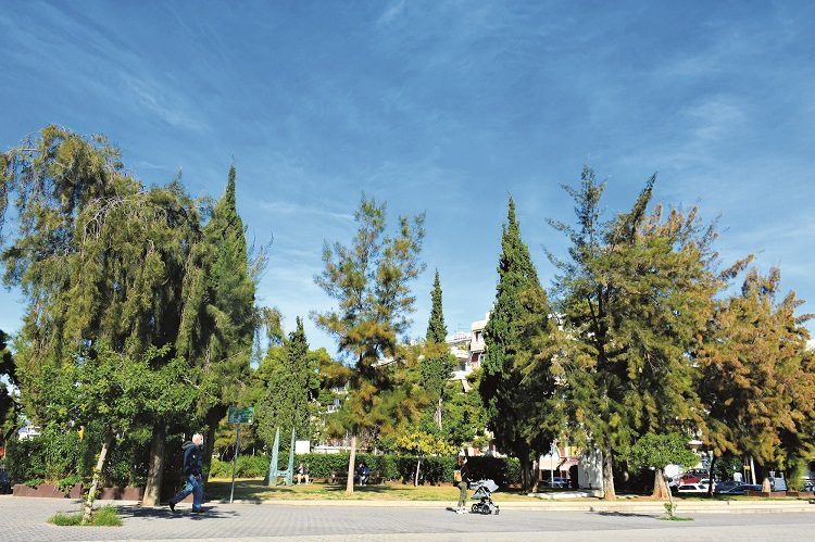 Σταύρος Τζουλάκης: H βελτίωση της ποιότητας ζωής των πολιτών πρωταρχικός στόχος