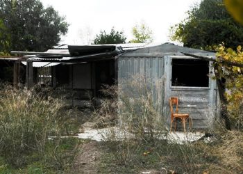 «Χαλάνδρι σε Δράση»:  «Το πρόβλημα του “Πεύκου Πολίτη” απαιτεί συντονισμένες δράσεις από όλους»