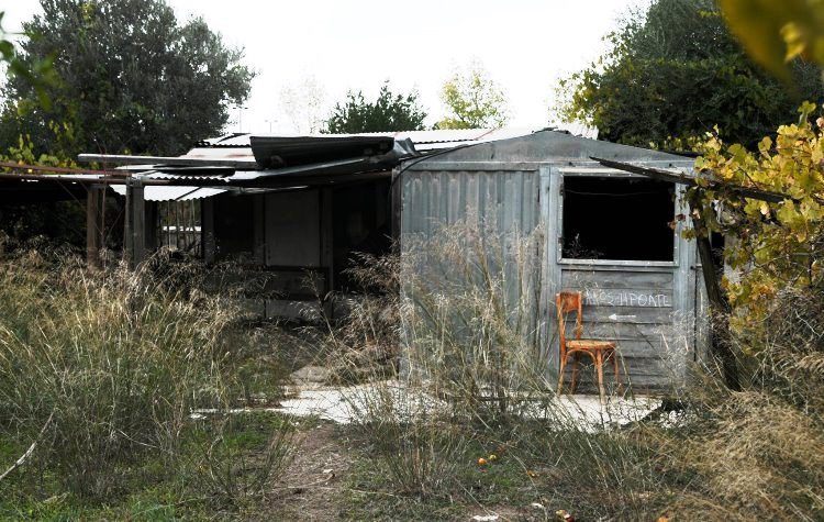 «Χαλάνδρι σε Δράση»: «Το πρόβλημα του “Πεύκου Πολίτη” απαιτεί συντονισμένες δράσεις από όλους»