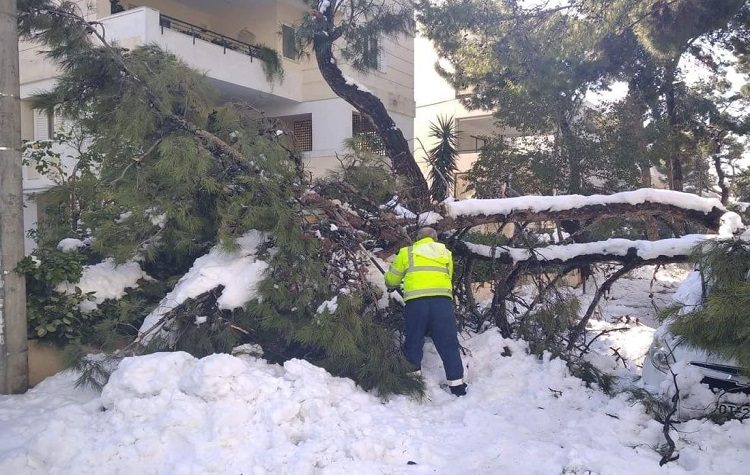 O Δήμος Βριλησσίων θα αποζημιώσει  κατοίκους που υπέστησαν ζημιές από πτώση δέντρου