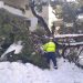 O Δήμος Βριλησσίων θα αποζημιώσει  κατοίκους που υπέστησαν ζημιές από πτώση δέντρου