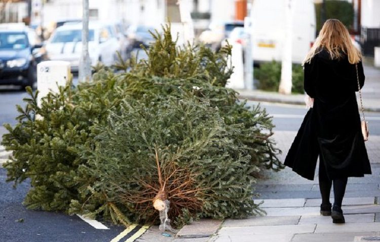 Μαζεύει τα χριστουγεννιάτικα δέντρα από τους δρόμους ο Δήμος Φιλοθέης-Ψυχικού