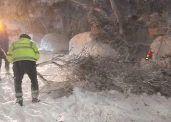 Ξ. Μανιατογιάννης:  «Δεν το βάζουμε κάτω μέχρι να βγούμε όλες και όλοι ασφαλείς»