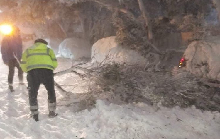 Ξ. Μανιατογιάννης:  «Δεν το βάζουμε κάτω μέχρι να βγούμε όλες και όλοι ασφαλείς»