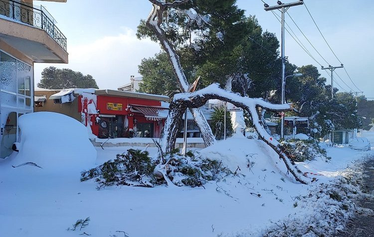 Λαϊκή Συσπείρωση «Όσα ζήσαμε δεν ήταν κεραυνός εν αιθρία»