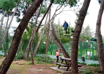 Δήμος Παπάγου - Χολαργού: «Επιχείρηση» δέντρα - κλαδιά και το Σαββατοκύριακο (Εικόνες)