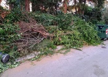 «Βουνό» τα κλαδιά στην οδό Καρβελά (Εικόνες)